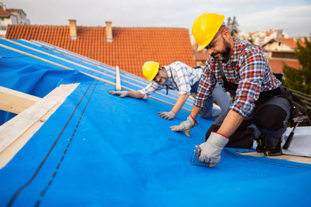 Emergency Roof Repair in Shavano Park, TX